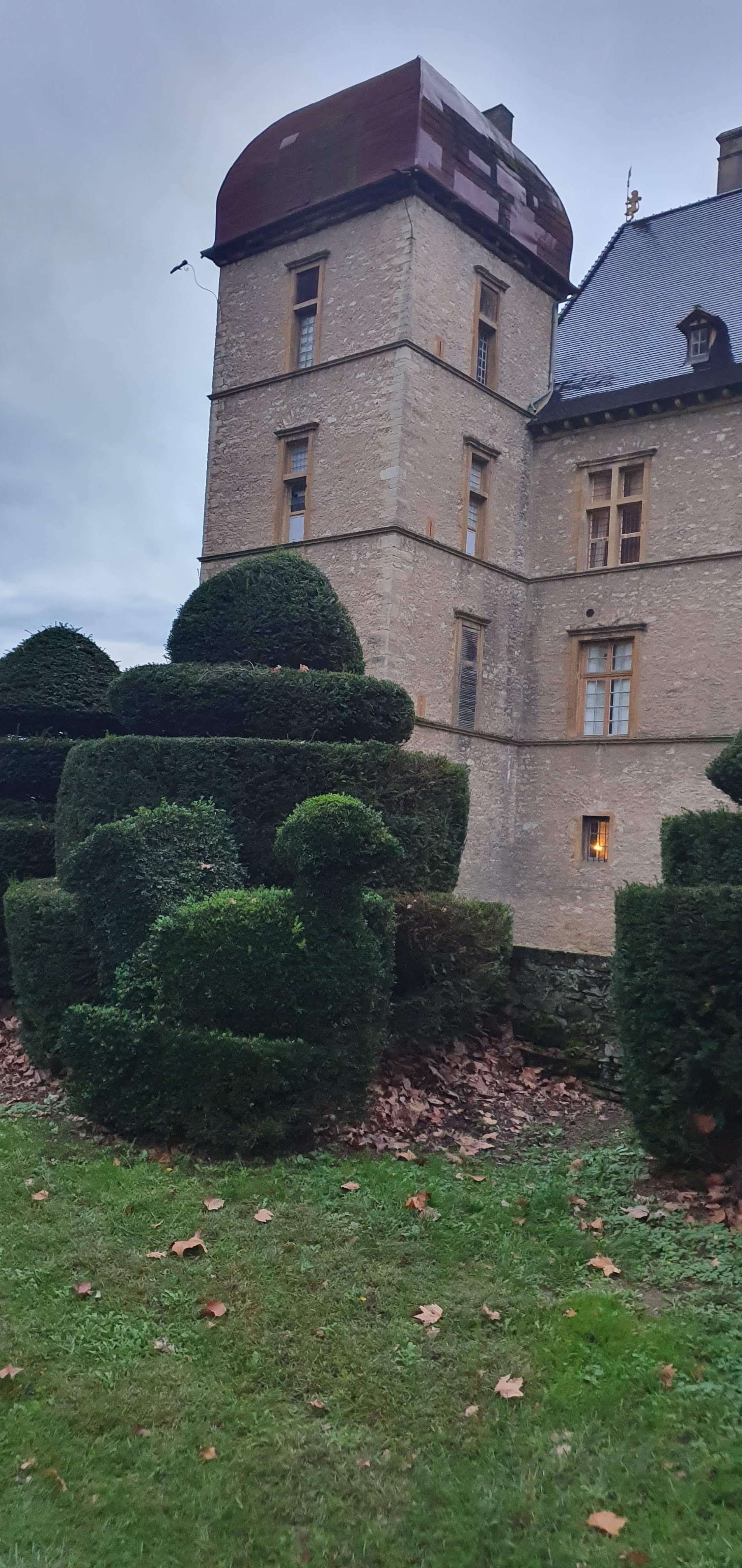 Photo n° 11 de l'avis de pierre.e fait le 04/11/2019 à 09:59
