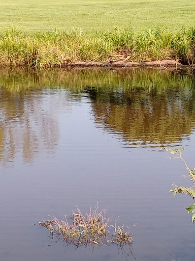 Golf Course «Wild Ridge Golf & Event Center», reviews and photos, 3647 Kane Rd, Eau Claire, WI 54703, USA