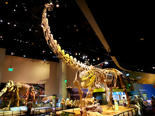 Museum «Perot Museum of Nature and Science», reviews and photos, 2201 N Field St, Dallas, TX 75201, USA