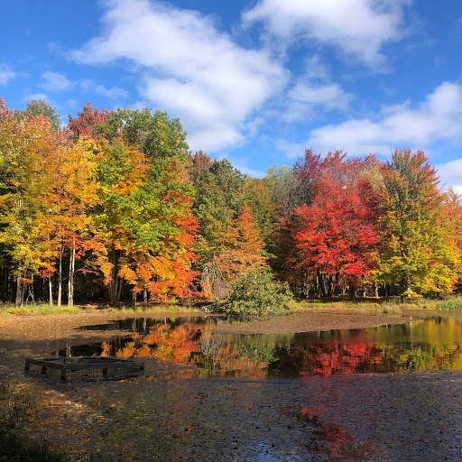 Nature Preserve «Reinstein Woods Nature Preserve», reviews and photos, 93 Honorine Dr, Depew, NY 14043, USA