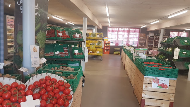 Rezensionen über Bösiger Gemüsekulturen AG in Olten - Supermarkt