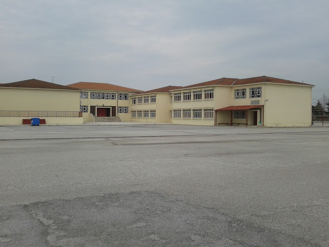 Ενιαίο Ειδικό Επαγγελματικό Γυμνάσιο - Λύκειο Σοφάδων