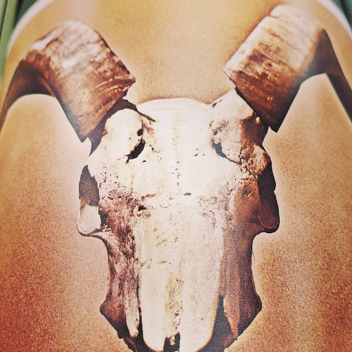 Liquor Store «Barbarita’s Liquor Store», reviews and photos, 15482 NW 77th Ct, Hialeah, FL 33016, USA