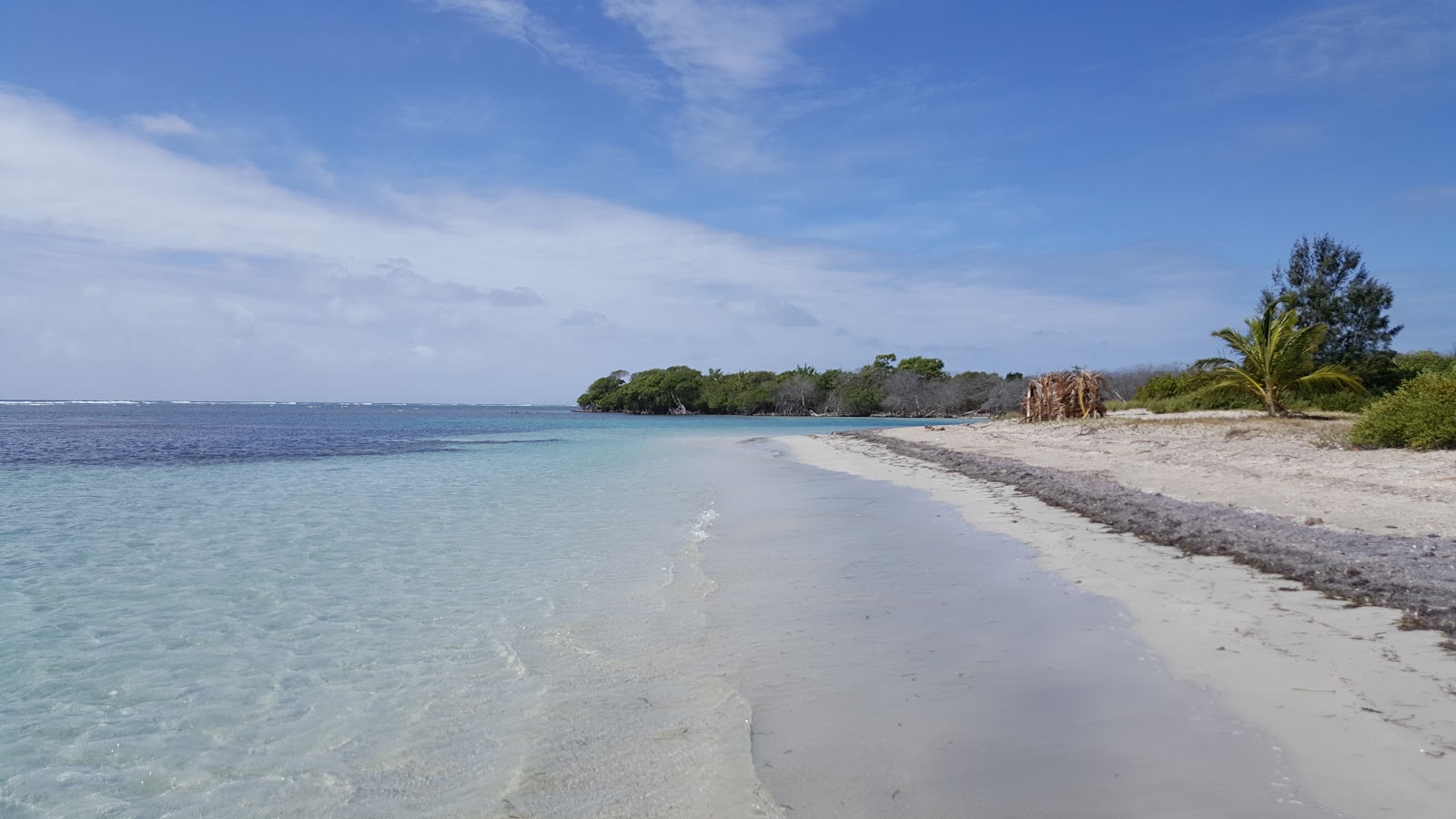 Foto di Playa Ballena con spiaggia spaziosa