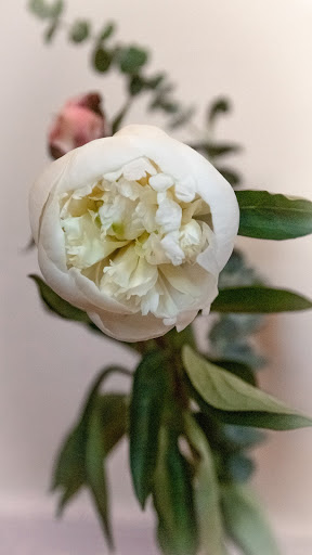 Florist «Watertown Florist Shop», reviews and photos, 449 Main St, Watertown, MA 02472, USA