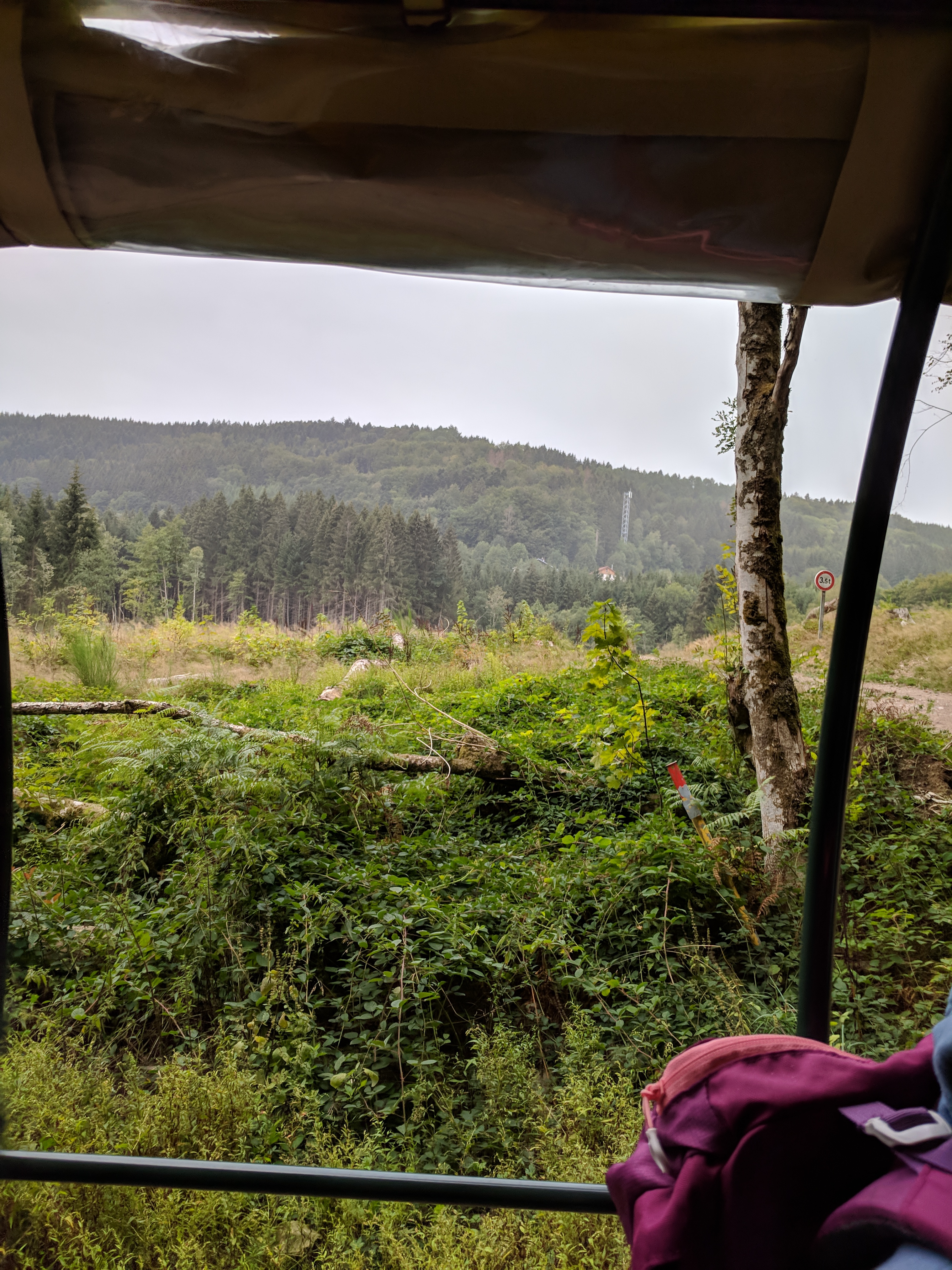 Photo n° 14 de l'avis de LAMBERT.r fait le 27/08/2018 à 11:58