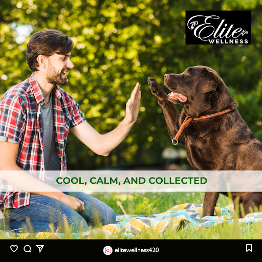 Tobacco Shop «Elite Smoke Shop», reviews and photos, 16 W Front St, Red Bank, NJ 07701, USA