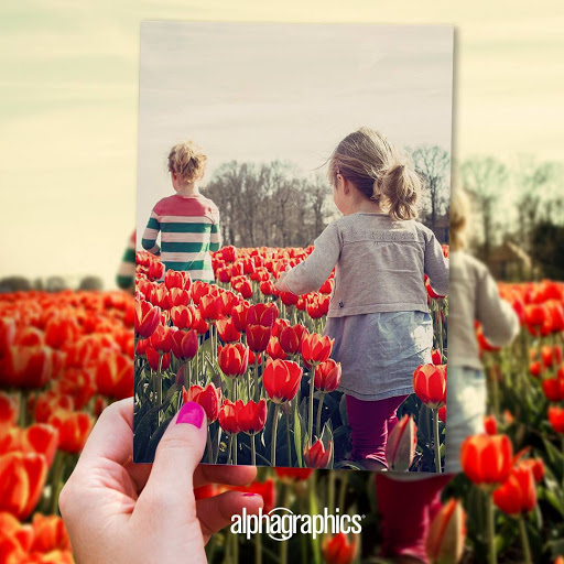 Commercial Printer «AlphaGraphics on Camelback», reviews and photos, 2120 E Camelback Rd, Phoenix, AZ 85016, USA