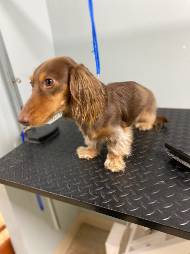 Pet Supply Store «Pet Supplies of Bayside», reviews and photos, 224-25 Union Tpke, Oakland Gardens, NY 11364, USA