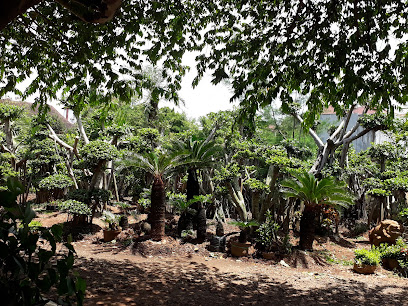 Unik Garden View - Jasa Tukang Taman Jakarta, Kolam Ikan Koi, Batu Koral Sikat, Vertical Garden