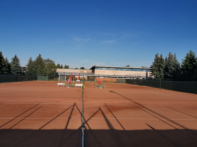 Értékelések erről a helyről: Omszk Park Tenisz Klub, Budakalász - Sportpálya