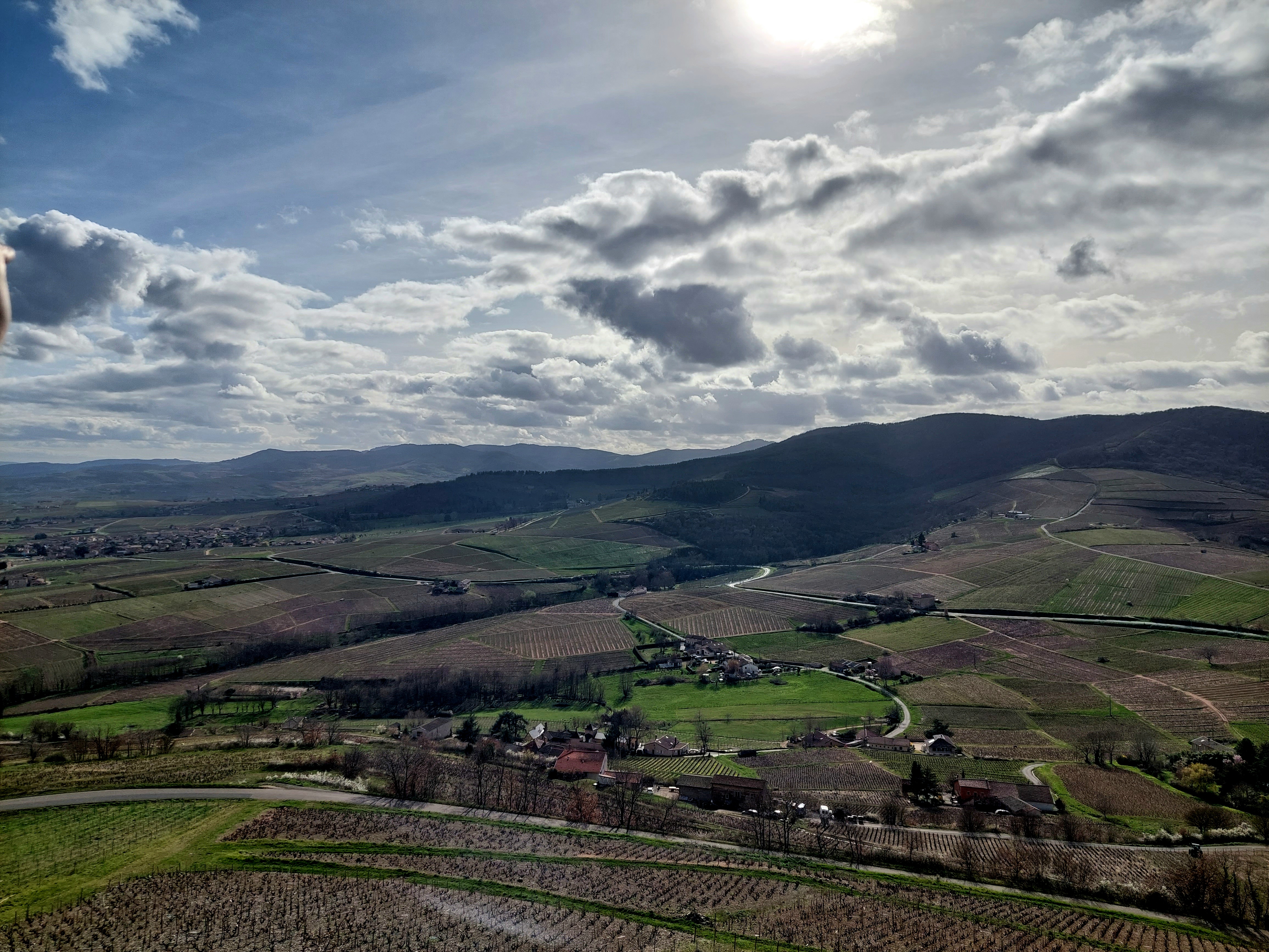 Photo n° 5 de l'avis de Bilgesu.A fait le 17/03/2024 à 06:59