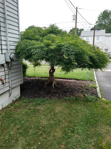 Park «Nichols Park», reviews and photos, 898 Bloomfield Ave, Nutley, NJ 07110, USA