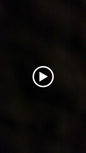 Florist «FLAMINGO FLORIST OF SPRING», reviews and photos, 24307 Aldine Westfield Rd, Spring, TX 77373, USA