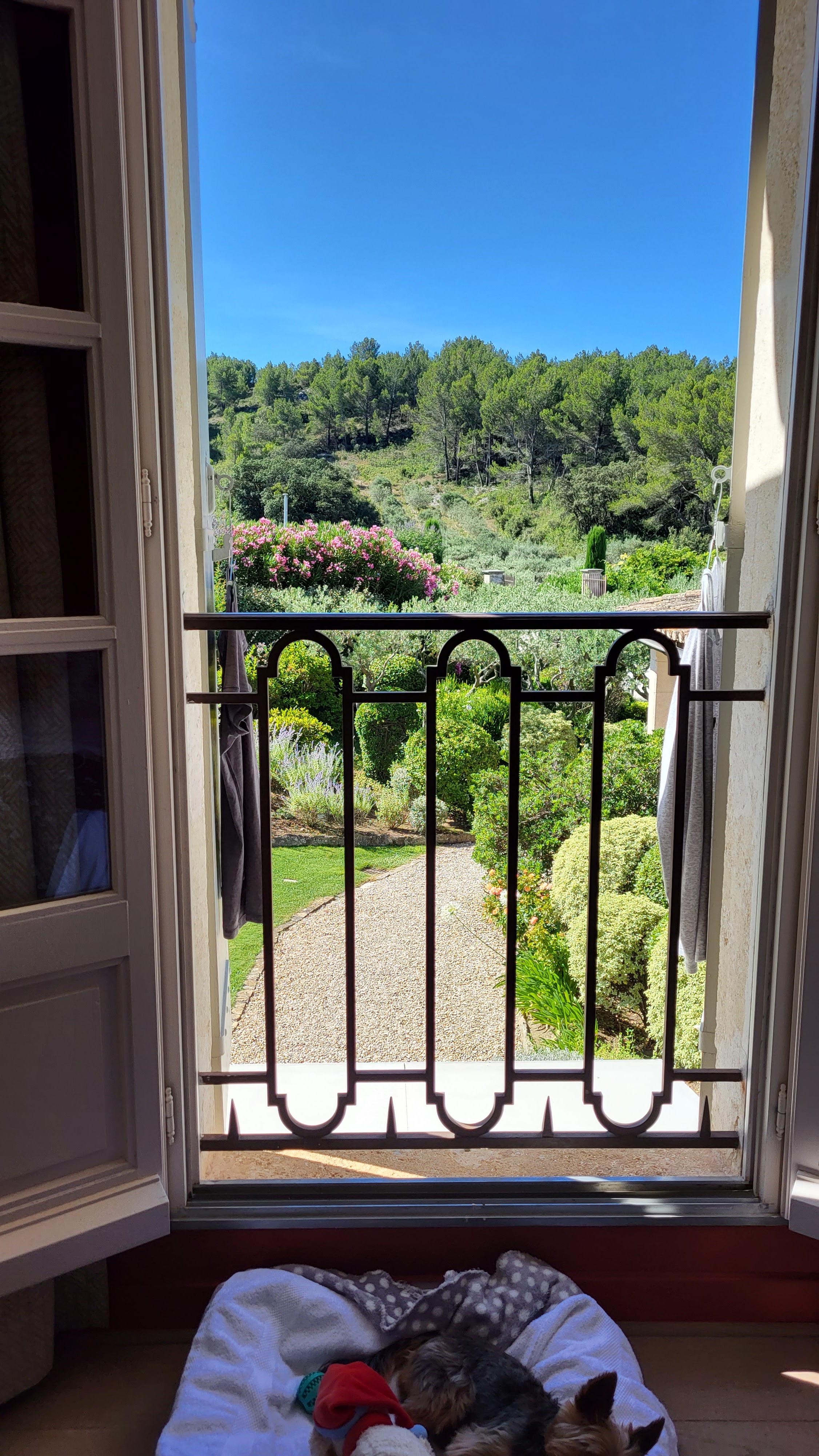 Photo n° 5 de l'avis de Irina.i fait le 16/07/2023 à 16:01