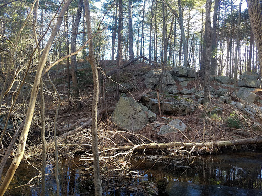 State Park «Wilson Mountain Reservation», reviews and photos, 384 Common St, Dedham, MA 02026, USA