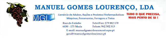 Comentários e avaliações sobre o Manuel Gomes Lourenço, LDA
