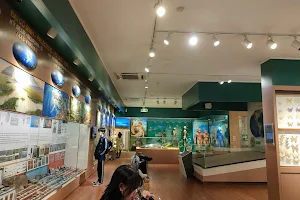 Vietnam National Museum of Nature image