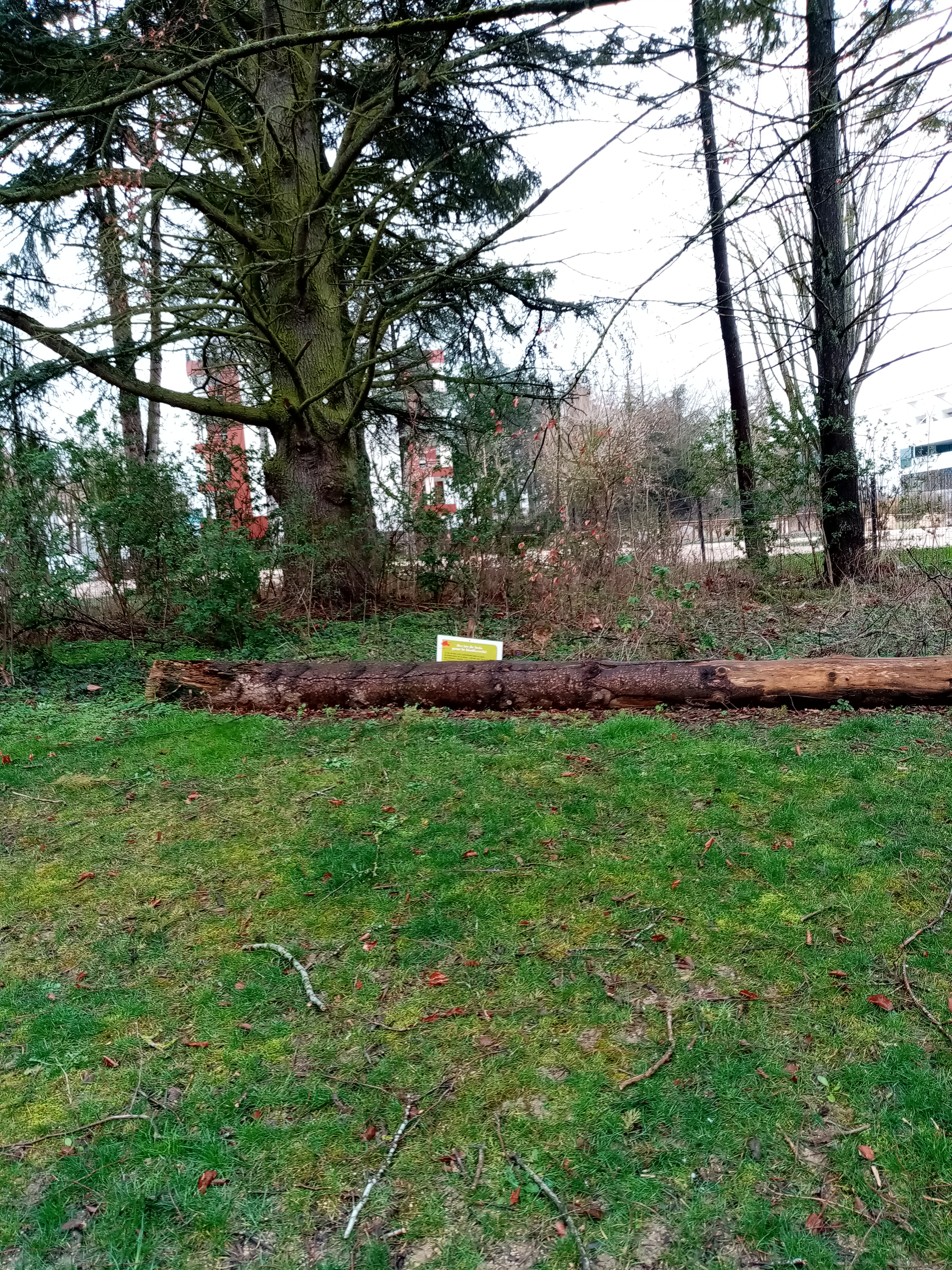 Photo n° 4 de l'avis de fanyse.M fait le 10/03/2020 à 21:25