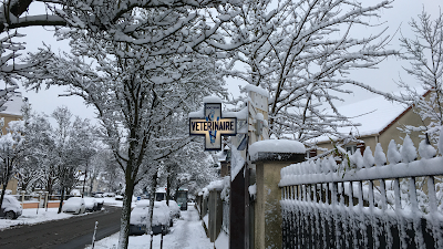 Beaumont Laetitia à Villiers-sur-Marne