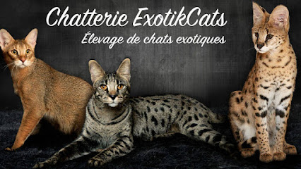 Chatterie ExotikCats