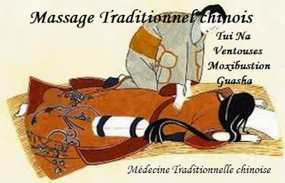 Médecine traditionnelle chinoise Vercors à Rencurel