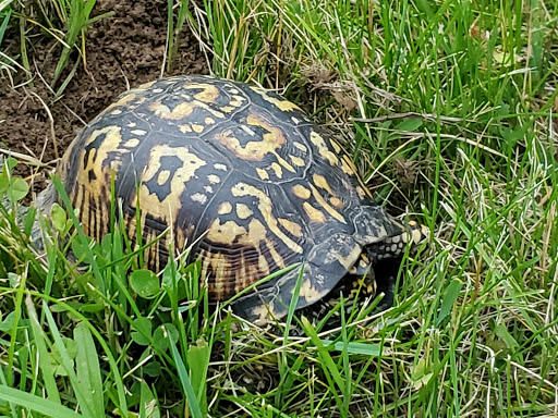 Park «Mary Gray Bird Sanctuary», reviews and photos, 3499 S Bird Sanctuary Rd, Connersville, IN 47331, USA