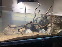 SR Aquaristik - Photo 2 - Car repair in Elgin, IL, Elgin