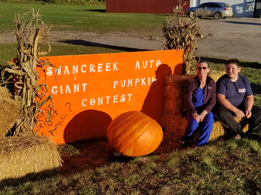 Auto Repair Shop «SWAN CREEK Auto Repair», reviews and photos, 10950 Swan Creek Rd, Saginaw, MI 48609, USA