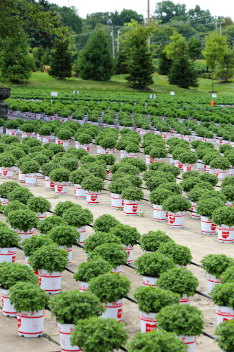 Plant Nursery «Blooming Acres», reviews and photos, 7561 State Rd, Wadsworth, OH 44281, USA