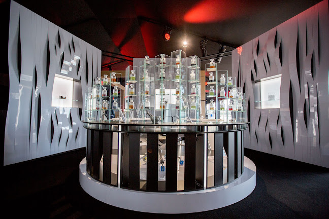 Rue Antoine-Jolivet 8, 1227 Carouge