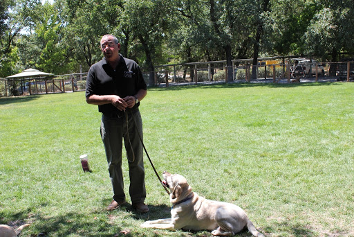 Olivet Kennel & Dog Training