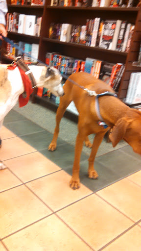 Book Store «Barnes & Noble», reviews and photos, 20 Hatton Pl, Hilton Head Island, SC 29926, USA