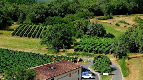 Vin de Domme les Vignerons des Côteaux du Céou à Florimont-Gaumier