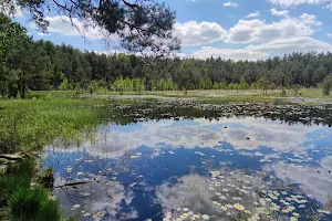 Rezerwat przyrody Czarci Dół image
