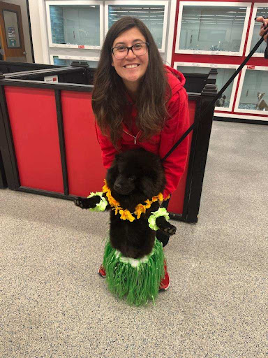 Pet Store «Animal Kingdom», reviews and photos, 4500 N Oracle Rd #254, Tucson, AZ 85705, USA