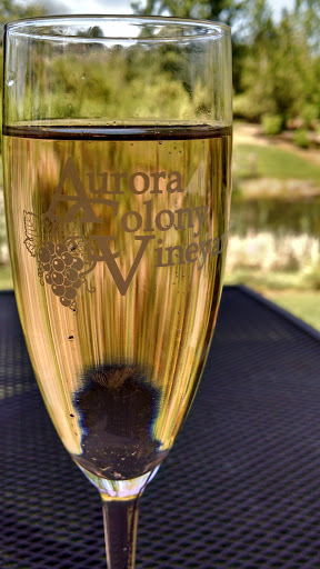 Vineyard «Aurora Colony Vineyards & Winery», reviews and photos, 21338 Oak Ln NE, Aurora, OR 97002, USA