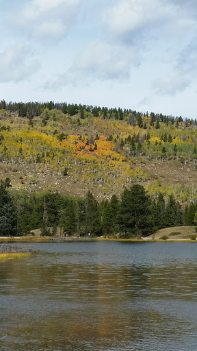 Park «Wilburton Hill Park», reviews and photos, 12400 Main St, Bellevue, WA 98005, USA