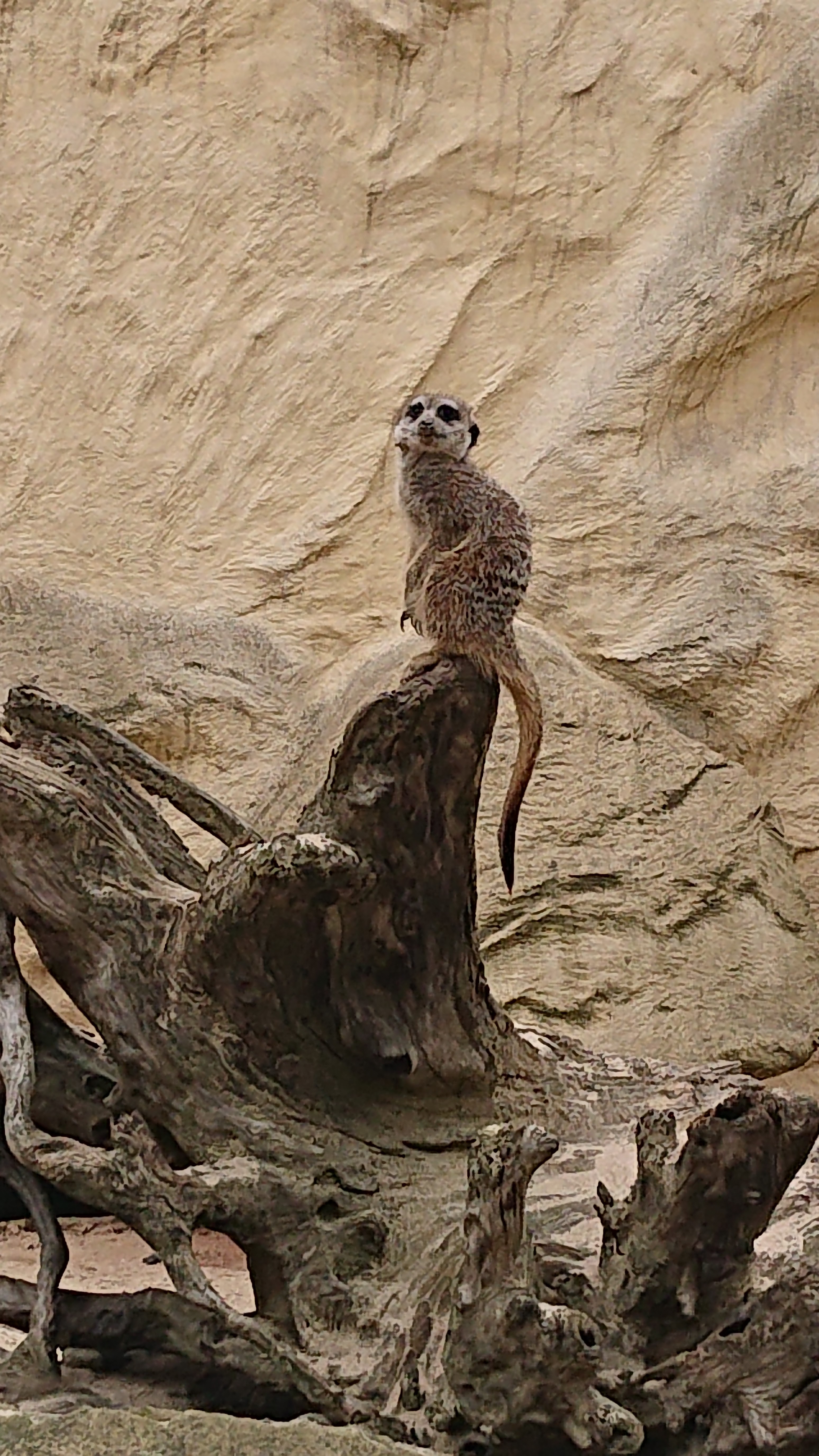 Photo n° 10 de l'avis de Otaries.a fait le 26/03/2019 à 09:02