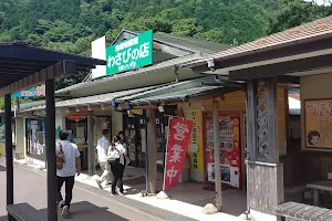 Amagi Wasabi Village image