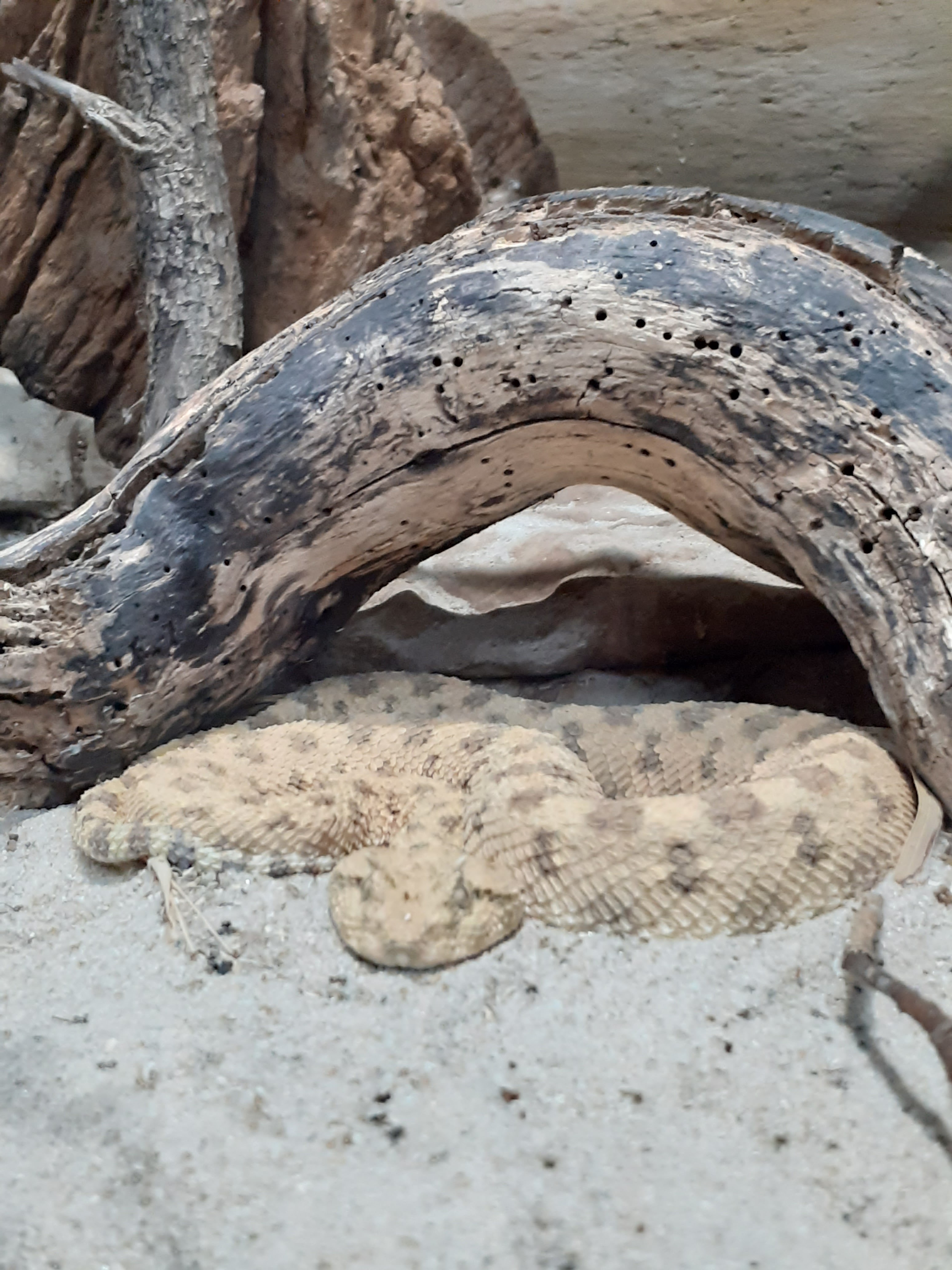 Photo n° 2 de l'avis de Aude.u fait le 30/07/2022 à 12:17