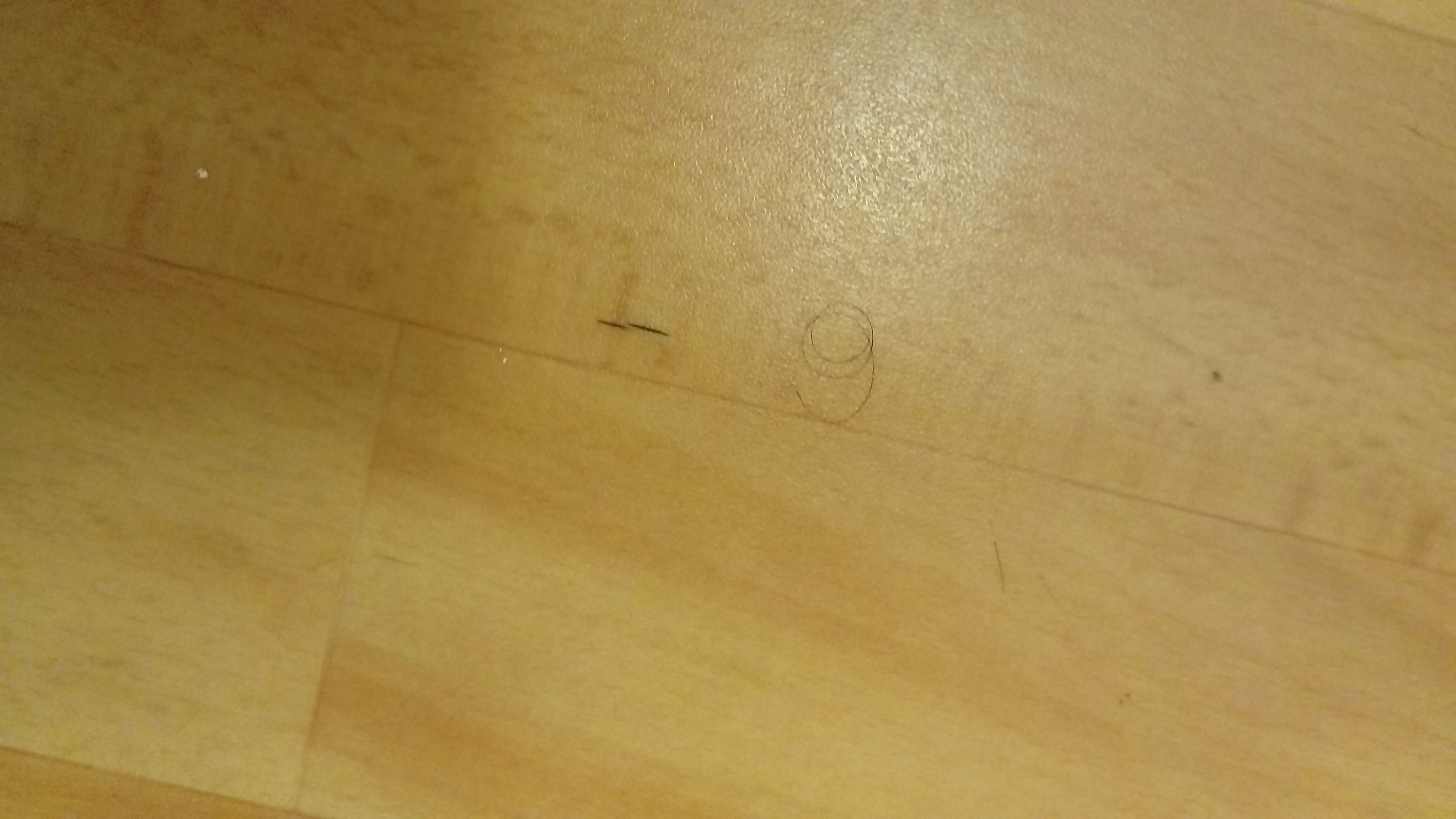 Photo n° 12 de l'avis de Alex. fait le 17/10/2018 à 12:25