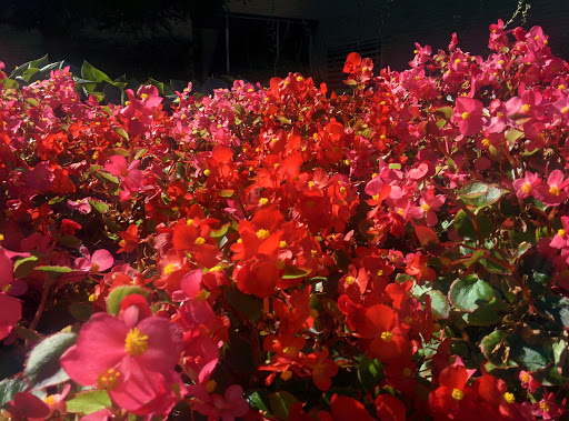 Art Museum «The Kreeger Museum», reviews and photos, 2401 Foxhall Rd NW, Washington, DC 20007, USA