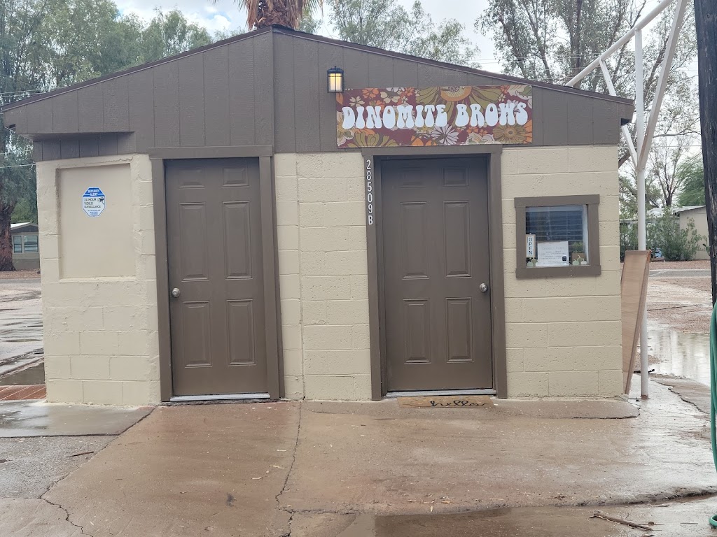 Dinomite Brows & More LLC 85356