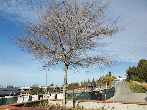 California State University, East Bay image