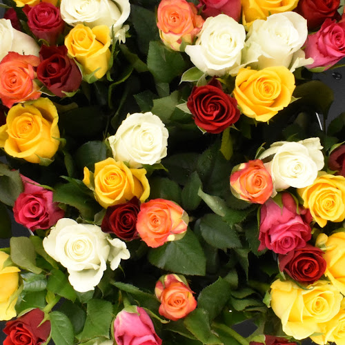 Rezensionen über Rosekeenig - Rosen und Blumen auf dem Marktplatz in Basel - Blumengeschäft
