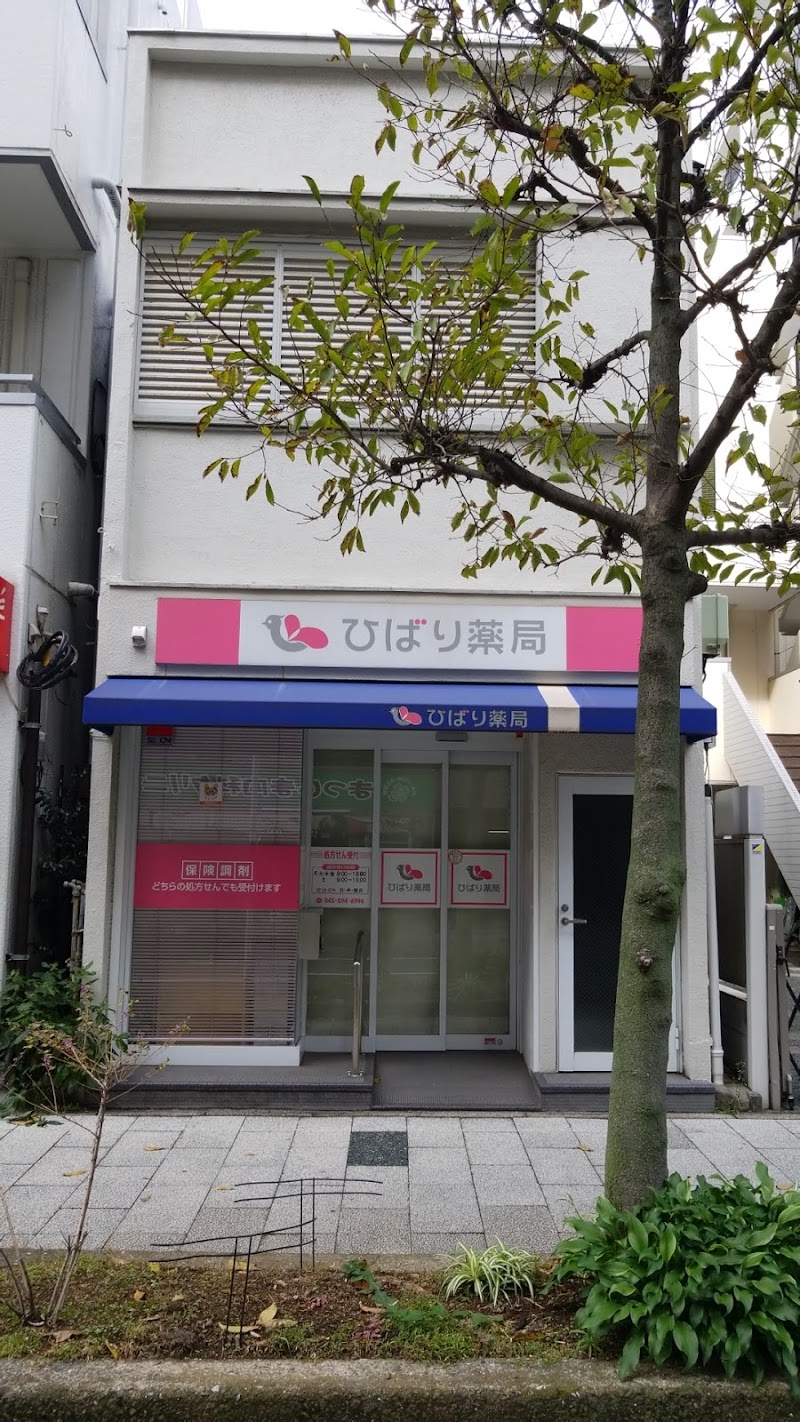 ひばり薬局 東神奈川西口店