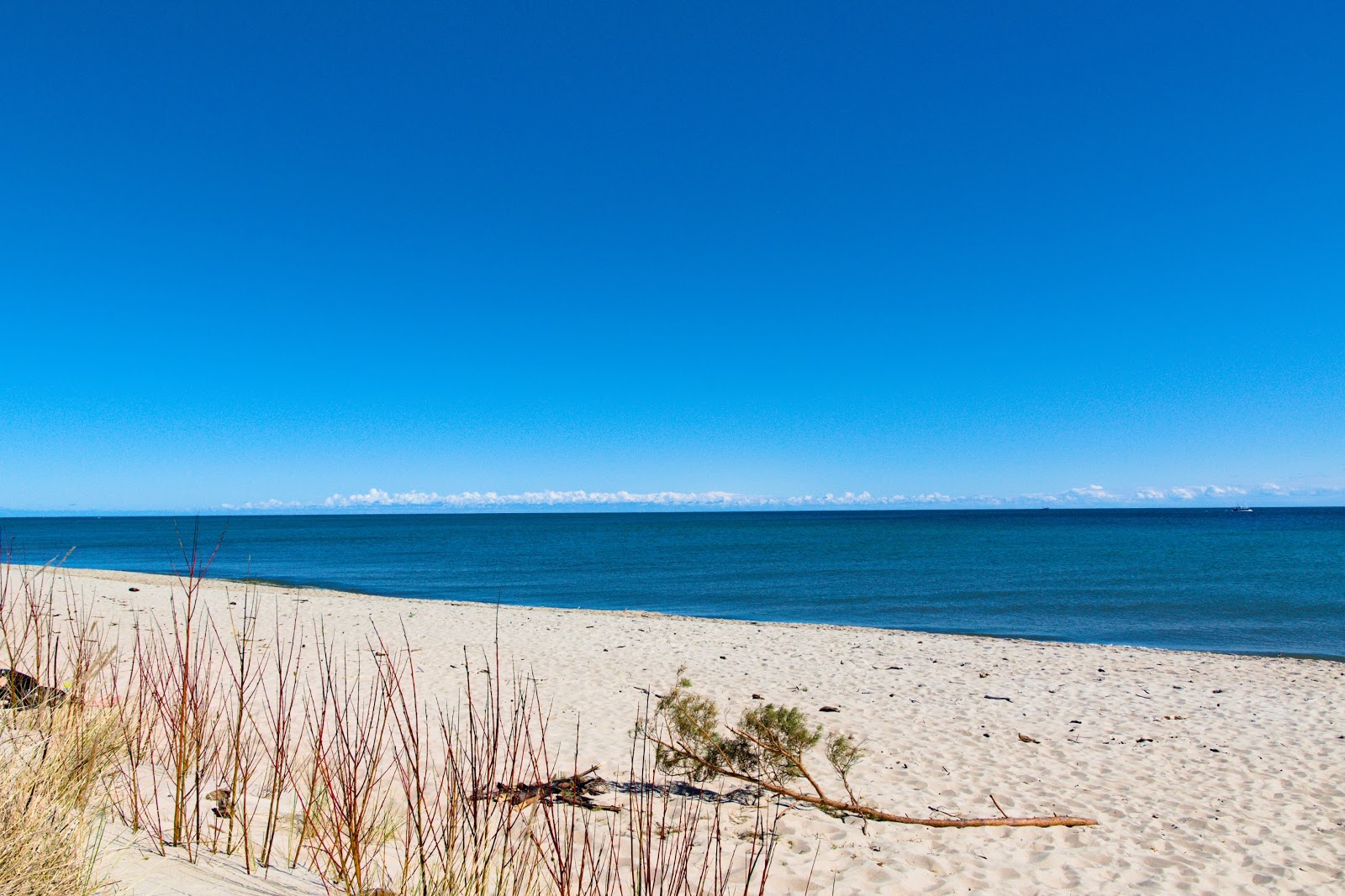 Fotografija Ceple Helski beach priljubljeno mesto med poznavalci sprostitve