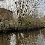 Photo n° 30 de l'avis de Herve.a fait le 23/03/2019 à 16:49 pour L'Audobarquoise, visitez le marais audomarois autrement ! à Saint-Martin-lez-Tatinghem