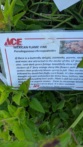 Hardware Store «Canyon Lake Ace Hardware», reviews and photos, 1150 FM2673, Canyon Lake, TX 78133, USA